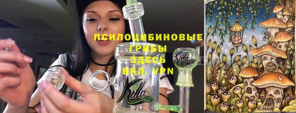 прущая мука Аркадак