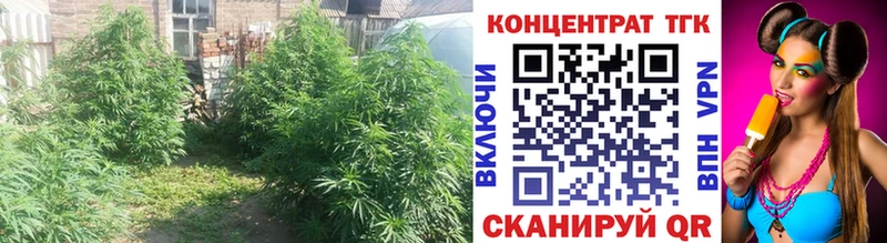 ТГК жижа  сколько стоит  площадка состав  Красный Кут 