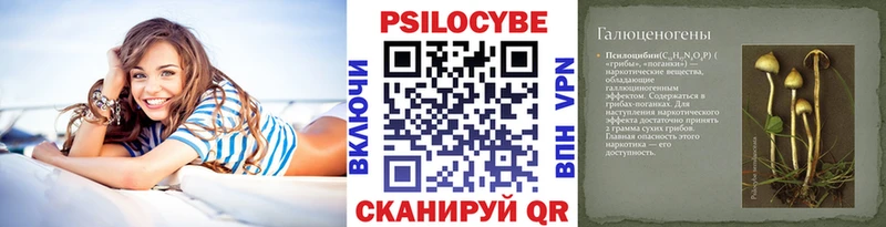 где продают наркотики  Красный Кут  darknet наркотические препараты  Галлюциногенные грибы Psilocybine cubensis 